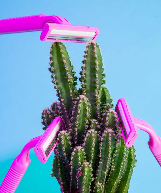 4 dangers des rasoirs en plastique